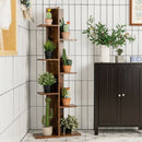 Open Concept Plant Display Shelf Rack Storage Holder-Brown