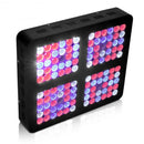 600W LED Full Spectrum for Indoor Plants Flower Bloom Lamp