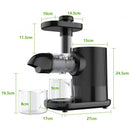 Horizontal Slow Masticating Extractor Juicer with Brush-Black