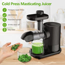 Horizontal Slow Masticating Extractor Juicer with Brush-Black