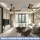 52 Inches Modern Ceiling Fan with Light and Reversible Blades-Black