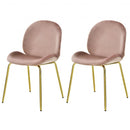 Set of 2 Velvet Accent Chairs with Gold Metal Legs-Pink