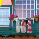 Stainless Wall Mounted Expandable Clothes Drying Towel Rack