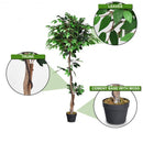 5.5 ft Artificial Ficus Silk Tree with Wood Trunks