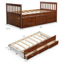 Twin Captain’s Bed with Trundle Bed with 3 Storage Drawers-Walnut