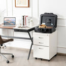 Space-Saving and Waterproof 30 Minute Fire Safe Box with Lock and Handle-Black