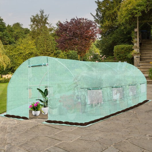 10' x 6.5' x 20' 8 Windows Backyard Walk-in Greenhouse