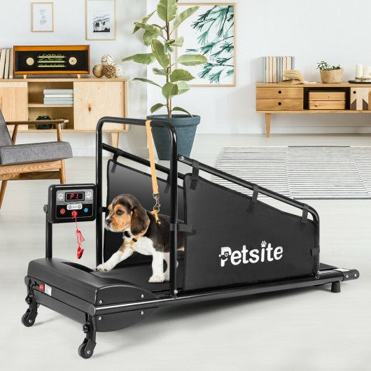 Indoor Pet Exercise Equipment with Remote Control