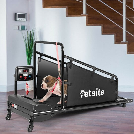 Indoor Pet Exercise Equipment with Remote Control